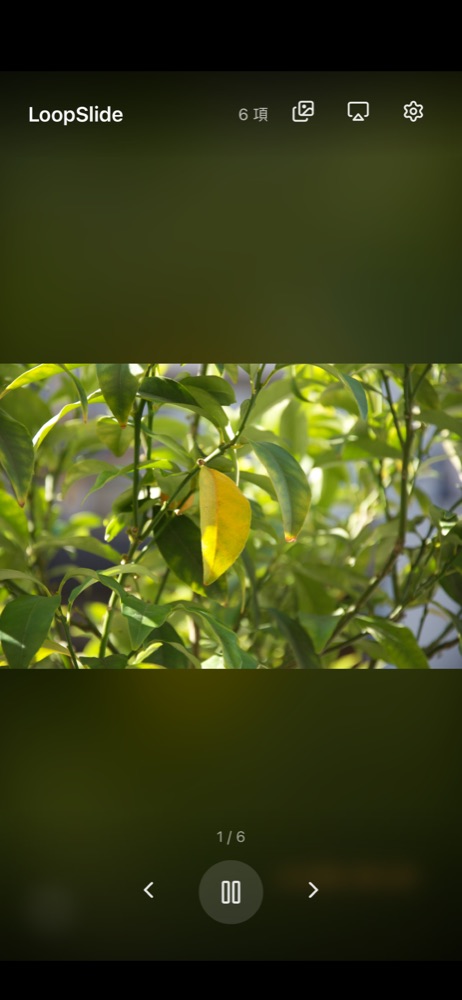 LoopSlide 在 iPhone 上播放照片幻燈片